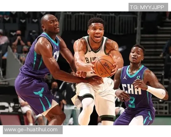 字母哥与克努佩尔联手,雄鹿加时力擒黄蜂 字母哥与克努佩尔联手,雄鹿加时力擒黄蜂